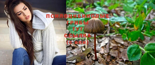 кокс Арсеньев