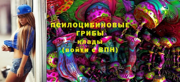 кокс Арсеньев