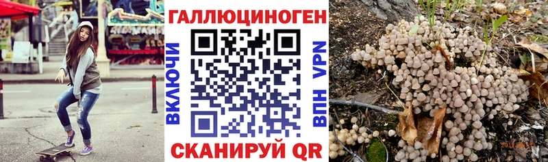 МЕГА рабочий сайт  купить наркоту  Балтийск  Псилоцибиновые грибы мицелий 